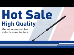 후드 스트루트-30649736