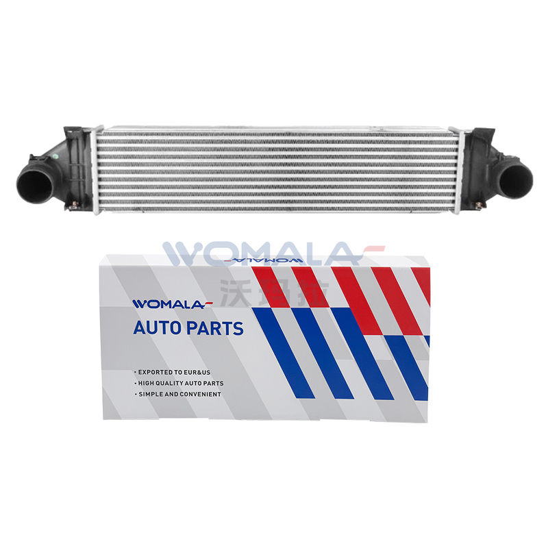 Womala 자동차 냉각 부품 Auto Parts V40 V70 S80 C30 XC70용 인터쿨러 OE 31338473