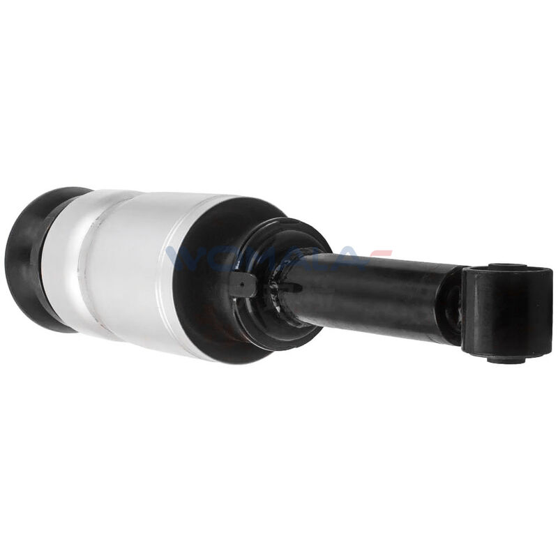 Womala RNB501580 Front Shock Absorber Assembly for Land Rover Discovery 3 RNB501250 RNB501180