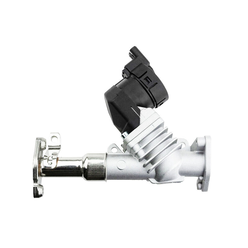 Womala 자동차 부품 EGR 밸브 11717563241 11718479590 BMW 1/3/5 시리즈